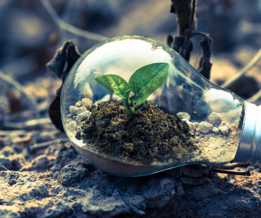 More Than Setting: Centering Nature in Your Fiction